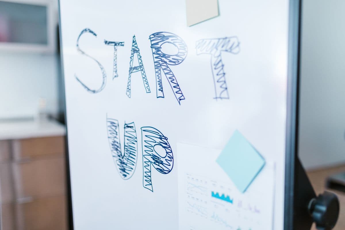 Digital marketing and website planning for Windsor